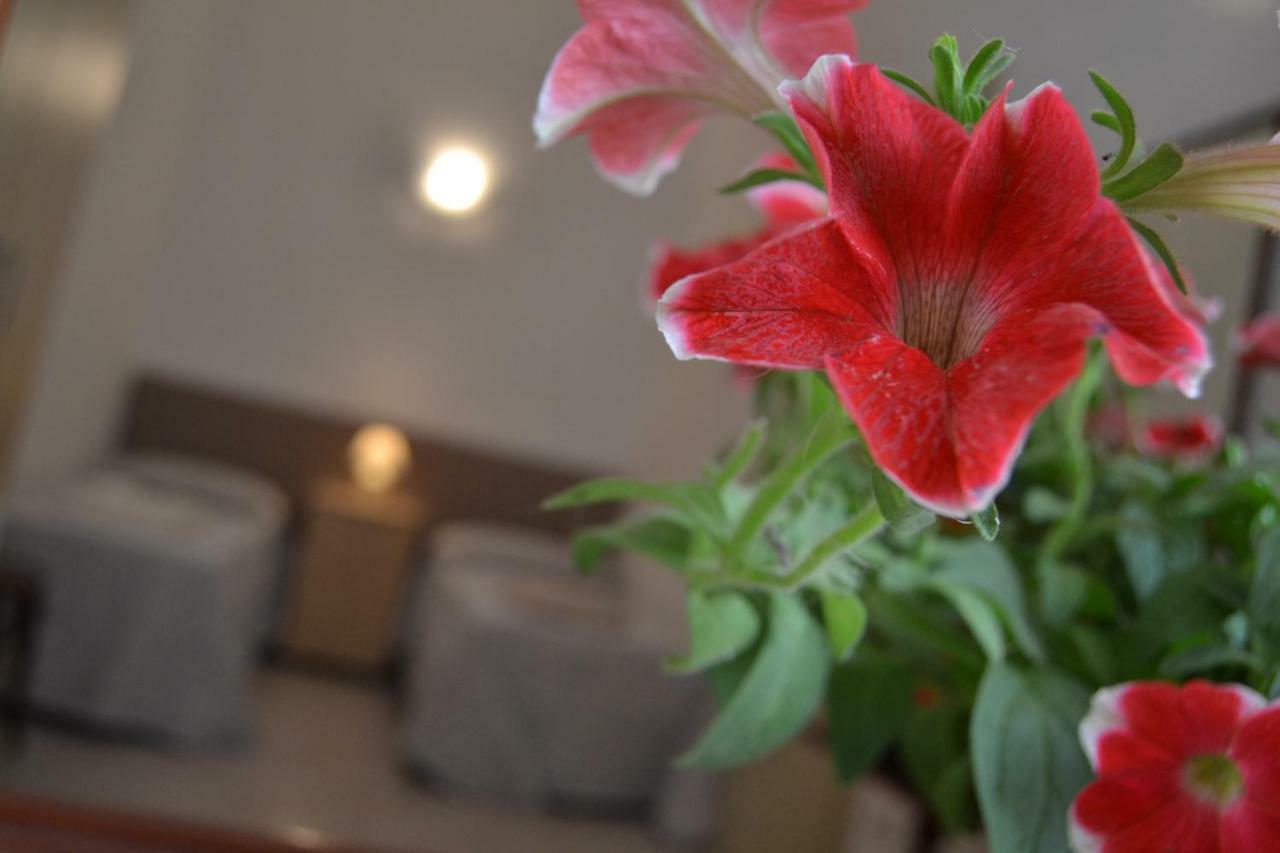 Bed and Breakfast I Due Tesori Сан-Чезаріо-ді-Лечче Екстер'єр фото